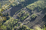 choquequirao trail