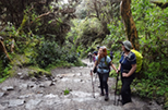 Inca Trail 2 Days to Machu Picchu